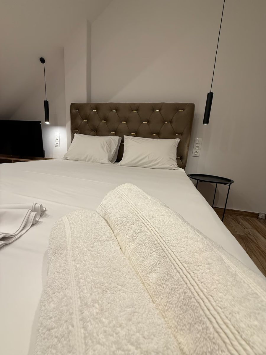 Ethra Suite 8 VOLOS12